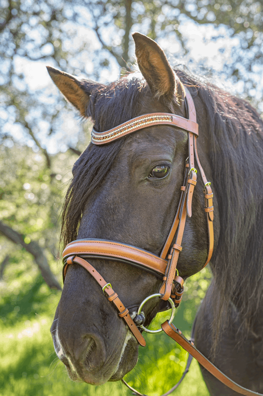 Cognac Crystal Elegance Dressage  Bridle