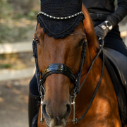 Bridles
