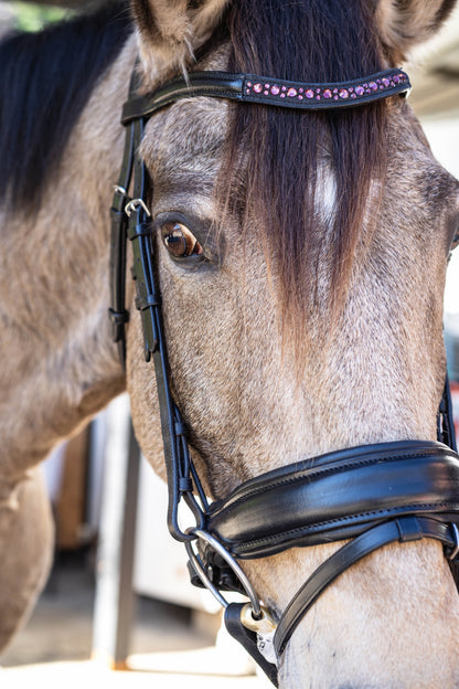Crimson Elegance Dressage Bridle