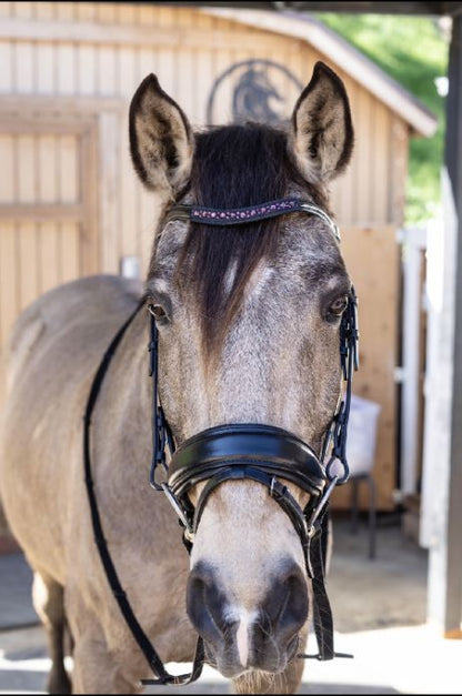 Crimson Elegance Dressage Bridle
